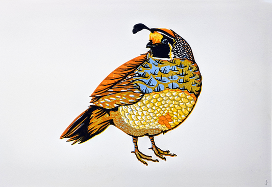 Quail Print Art Print